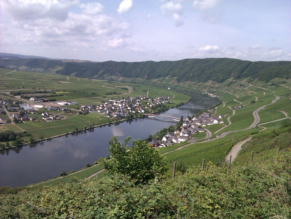 Mosel1.jpg